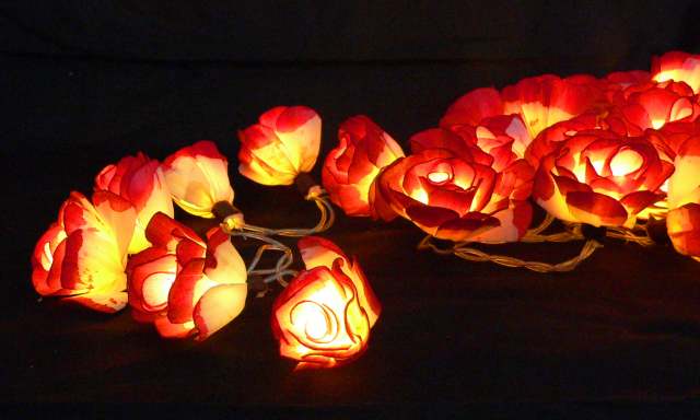 Red & White Sano Rose Bud Flower - fairy light string 35 LED bulbs